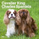 Cavalier King Charles Spaniels 2026 Square Flap Calendar