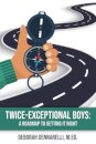 Twice Exceptional Boys