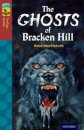 Oxford Reading Tree TreeTops Fiction: Level 15: The Ghosts of Bracken Hill