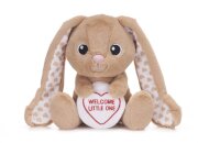 Love Hearts 7" Welcome Little Bunny Plush Gift