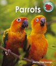 Parrots