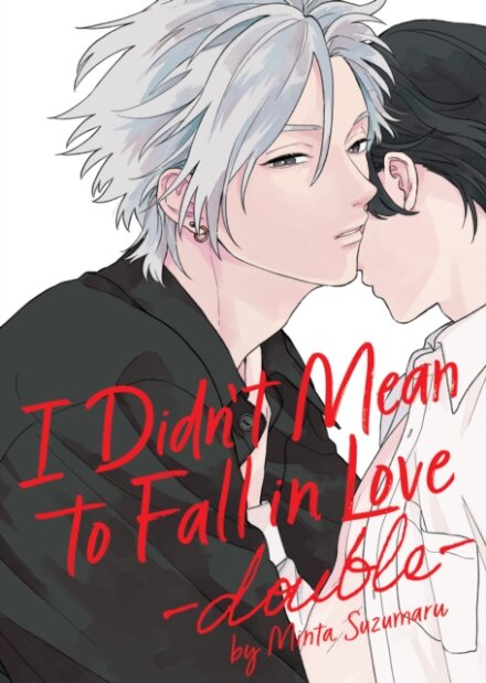 I Didn't Mean to Fall in Love -double-